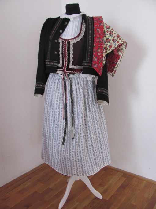 kroj Rudice